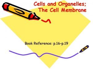 Carrier vs channel proteins Carrier vs channel proteins