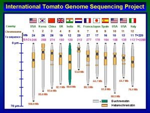 International Tomato Genome Sequencing Project Country USA Chromosome