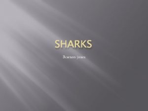 SHARKS Bcarson jones Shark facts All sharks dont