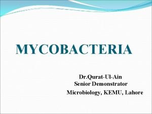 MYCOBACTERIA Dr QuratUlAin Senior Demonstrator Microbiology KEMU Lahore