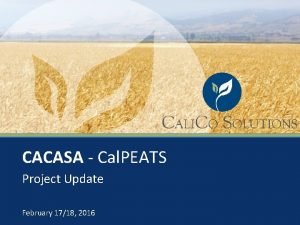 Cal peats