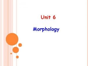 Unit 6 Morphology MORPHOLOGY It is a branch