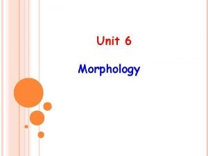 Morphology