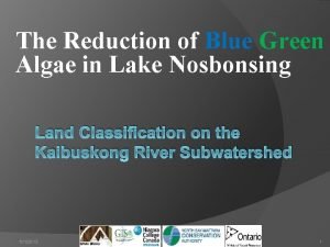 The Reduction of Blue Green Algae in Lake