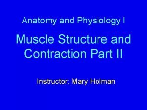 Anatomy and Physiology I Muscle Structure and Contraction