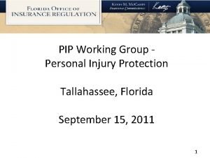 PIP Working Group Personal Injury Protection Tallahassee Florida