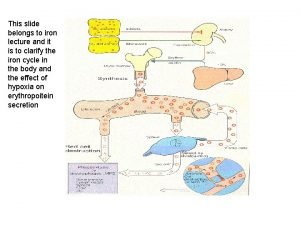 Blood clot factor