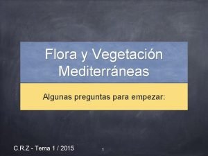 Flora y Vegetacin Mediterrneas Algunas preguntas para empezar