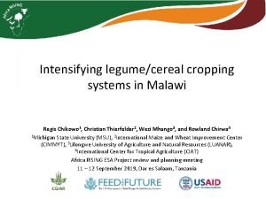 Intensifying legumecereal cropping systems in Malawi Regis Chikowo