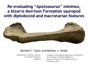 Reevaluating Apatosaurus minimus a bizarre Morrison Formation sauropod