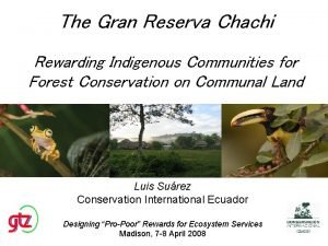 The Gran Reserva Chachi Rewarding Indigenous Communities for