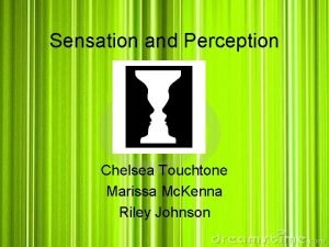 Sensation and perception crossword review