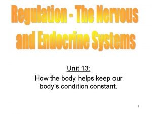 Unit 13 How the body helps keep our