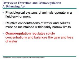 Overview Excretion and Osmoregulation A Balancing Act Physiological