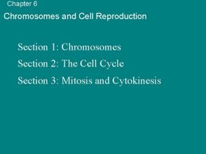 Chapter 6 Chromosomes and Cell Reproduction Section 1