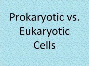 Prokaryotic cell Prokaryotic cell