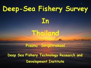 DeepSea Fishery Survey In Thailand Pisanu Siripitrakool Deep