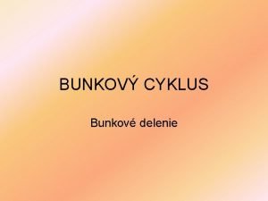 Delenie buniek v materskej bunke krizovka