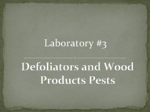 Laboratory 3 Defoliators and Wood Products Pests Objectives