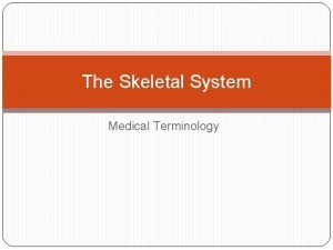 Medical terminology skeletal system