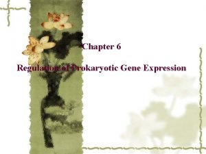 Chapter 6 Regulation of Prokaryotic Gene Expression 6