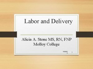 Labor and Delivery Alicia A Stone MS RN