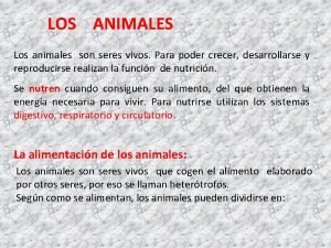 LOS ANIMALES Los animales son seres vivos Para