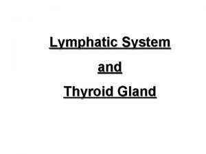 Is thyroid a lymphatic organ