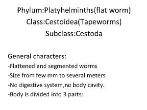 Phylum Platyhelminthsflat worm Class CestoideaTapeworms Subclass Cestoda General
