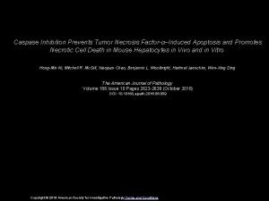 Caspase Inhibition Prevents Tumor Necrosis FactorInduced Apoptosis and