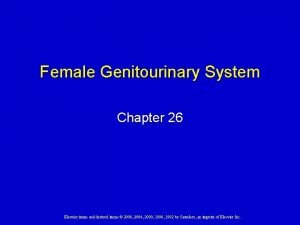 Female Genitourinary System Chapter 26 Elsevier items and