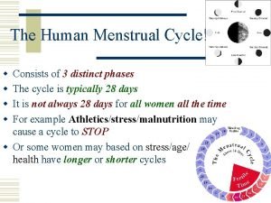The Human Menstrual Cycle w w Consists of