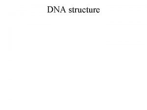 DNA structure DNA is a polymer made of