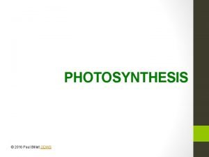 PHOTOSYNTHESIS 2016 Paul Billiet ODWS The development of