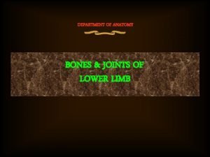 DEPARTMENT OF ANATOMY BONES JOINTS OF LOWER LIMB