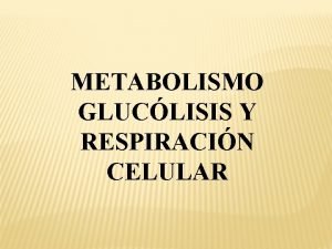 METABOLISMO GLUCLISIS Y RESPIRACIN CELULAR Definicin Conjunto de
