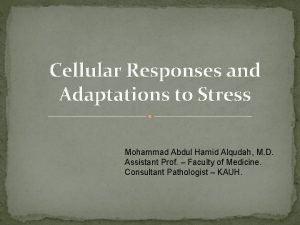Cellular Responses and Adaptations to Stress Mohammad Abdul
