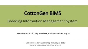 Cotton Gen BIMS Breeding Information Management System Dorrie