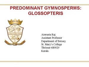 PREDOMINANT GYMNOSPERMS GLOSSOPTERIS Aiswaria Raj Assistant Professor Department