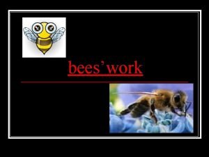 beeswork Bees collect nectar from flowers n Bees