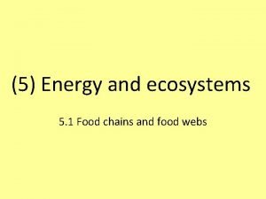 How does energy enter an ecosystem? *