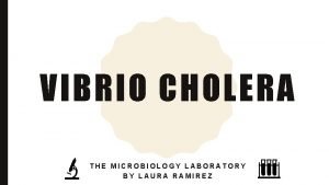 VIBRIO CHOLERA THE MICROBIOLOGY LABORATORY BY LAURA RAMIREZ