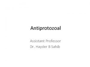 Antiprotozoal Assistant Professor Dr Hayder B Sahib Protozoal