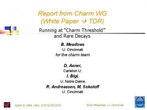 Report from Charm WG White Paper TDR Running