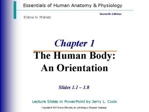 Essentials of Human Anatomy Physiology Seventh Edition Elaine