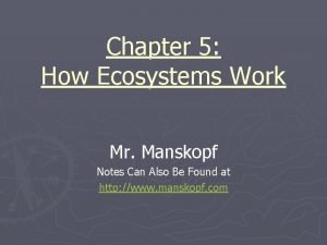 Chapter 5 how ecosystems work study guide