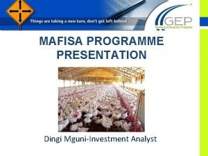 MAFISA PROGRAMME PRESENTATION Dingi MguniInvestment Analyst BACKGROUND The