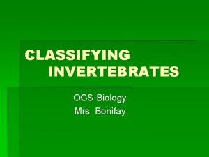 CLASSIFYING INVERTEBRATES OCS Biology Mrs Bonifay INVERTEBRATES Every