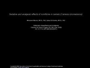 Sedative and analgesic effects of romifidine in camels