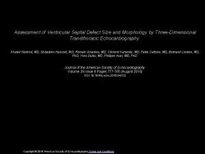 Assessment of Ventricular Septal Defect Size and Morphology